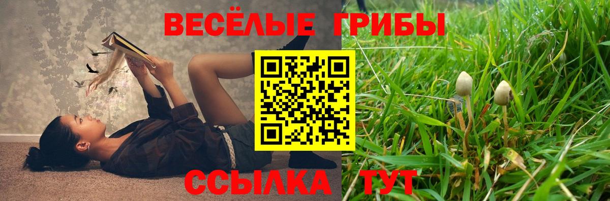 Галлюциногенные грибы GOLDEN TEACHER  Псилоцибиновые грибы мицелий  Вход с VPN  Клинцы 